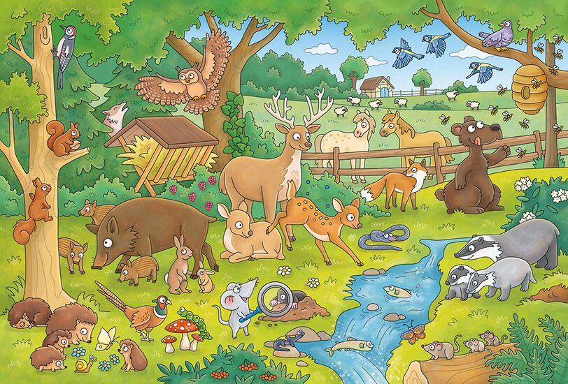 Ein weiteres Bild zum Produkt - Reise in die Natur