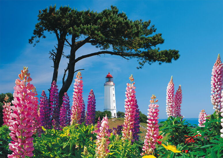 Product motif - Dornbusch Lighthouse, Hiddensee, 1000 pcs