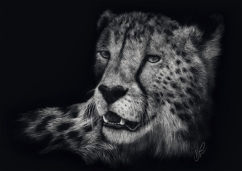 Motif du produit - Véloce – le guépard : sous le signe de la grâce, 1000 pcs