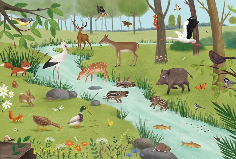 Ein weiteres Bild zum Produkt - Wald- und Wiesentiere