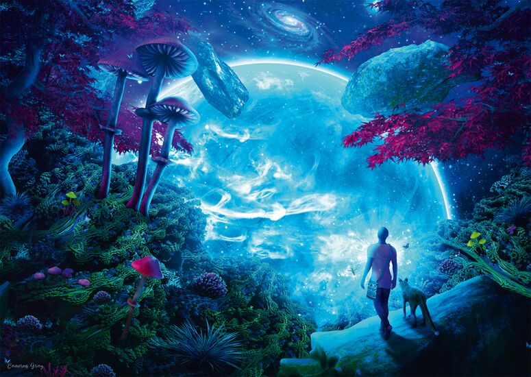 Motif du produit - Rêveries célestes, 1000 pcs