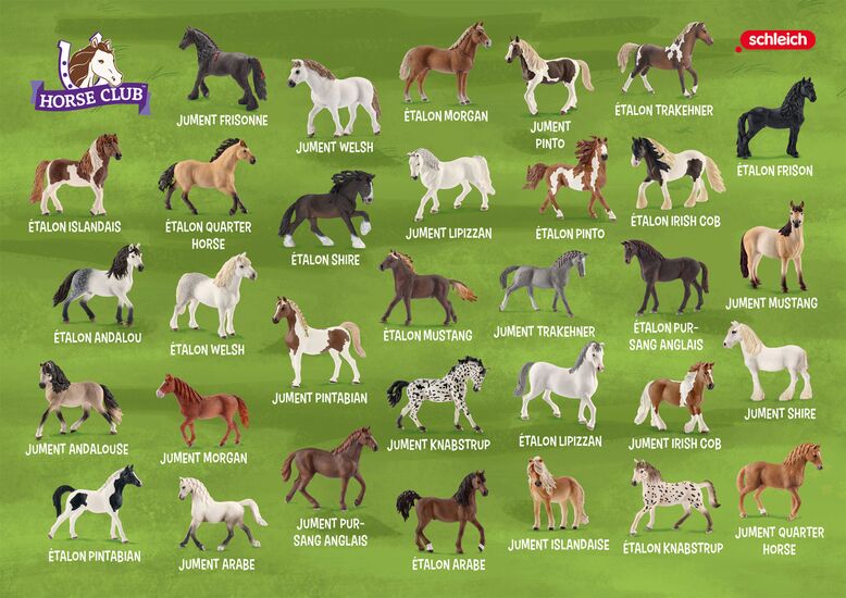 Collage du produit - Horse Club – Tandems de chevaux