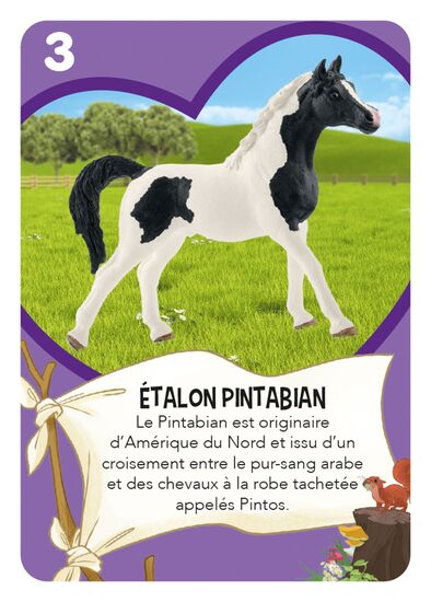 Une autre image du produit - Horse Club – Tandems de chevaux