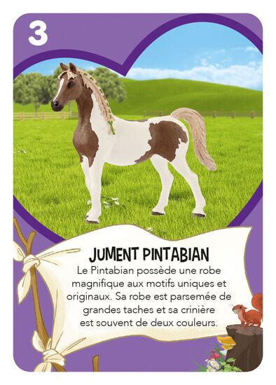 Contenu du produit - Horse Club – Tandems de chevaux