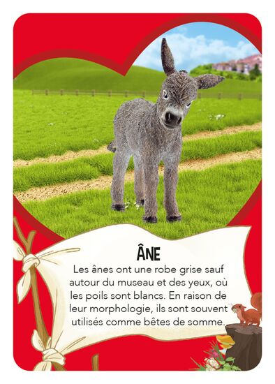 Une autre image du produit - Horse Club – Tandems de chevaux