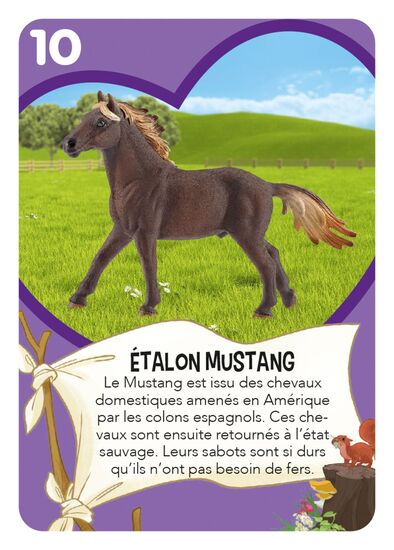 Une autre image du produit - Horse Club – Tandems de chevaux