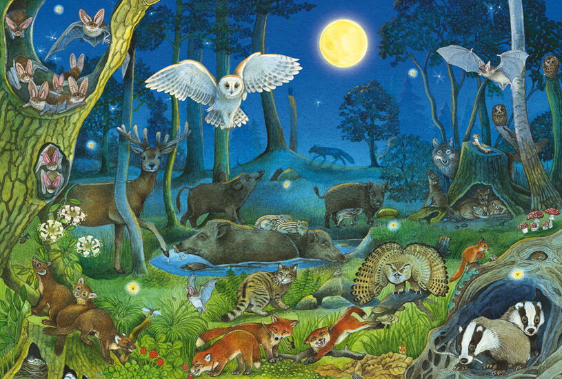 Motiv des Produkts - Tiere nachts im Wald