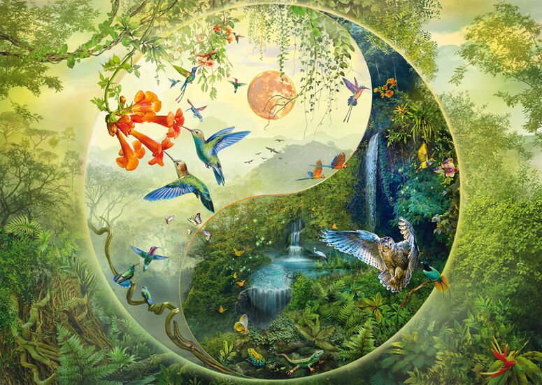 Motiv des Produkts - Yin & Yang Im Wald der Kolibris