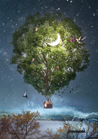 Product motif - Skyward, 1000 pcs