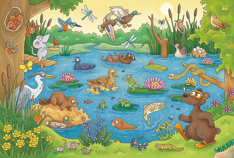 Ein weiteres Bild zum Produkt - Reise in die Natur