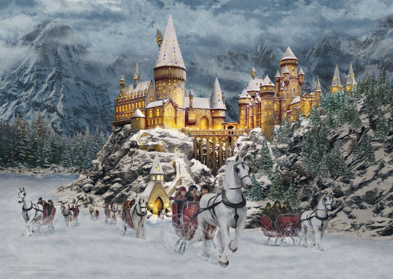 Product motif - Harry Potter™ Hogwarts™ Castle, 1000 pcs