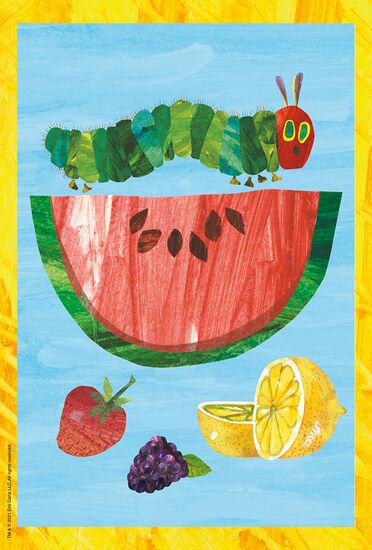 Ein weiteres Bild zum Produkt - Raupe-Kokon-Schmetterling