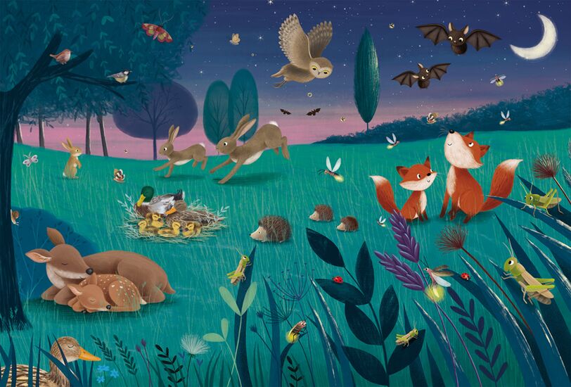 Inhalt des Produkts - Wald- und Wiesentiere